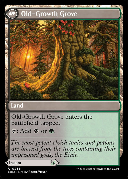 Old-Growth Grove - cara 2