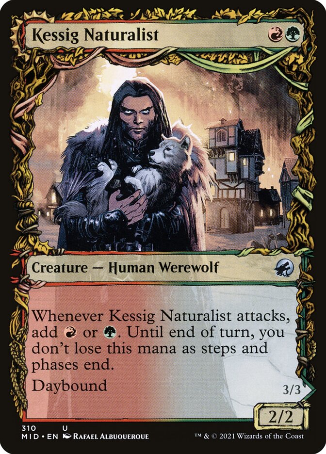 Kessig Naturalist - cara 1