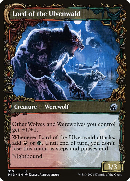 Lord of the Ulvenwald - cara 2