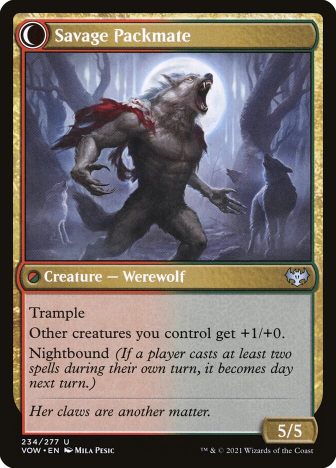 Savage Packmate - cara 2