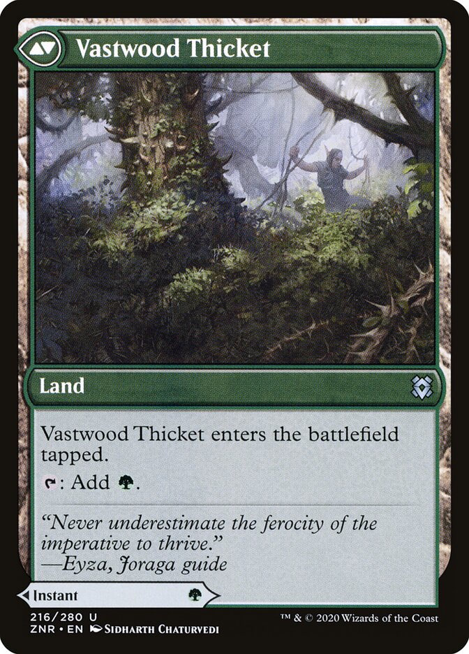 Vastwood Thicket - cara 2